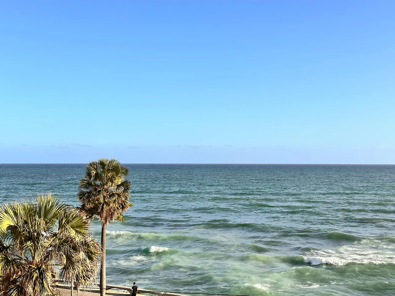 Blue Caribbean water and a palm tree below a Potenza apartment window